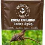 Korai Kizhangu - 50gm / Nut Grass