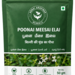 Poonai Meesai Elai Podi -50 GM / Cat’s Whiskers Leaves Powder