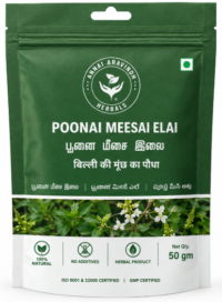 Poonai Meesai Elai Podi -50 GM / Cat’s Whiskers Leaves Powder