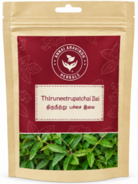 Thiruneetrupachai Ilai Podi -50 GM / Sweet Basil Leaves Powder