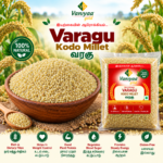 VARAGU – KODO MILLET