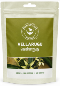 Vellarugu - 50gm / Indian Whitehead