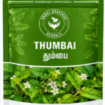 Thumbai Powder - 50gm